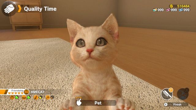 Little Friends: Dogs & Cats 6