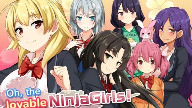 Moe! Ninja Girls 2