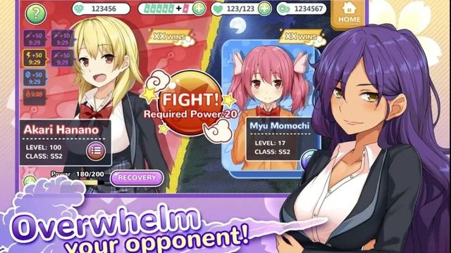 Moe! Ninja Girls 3