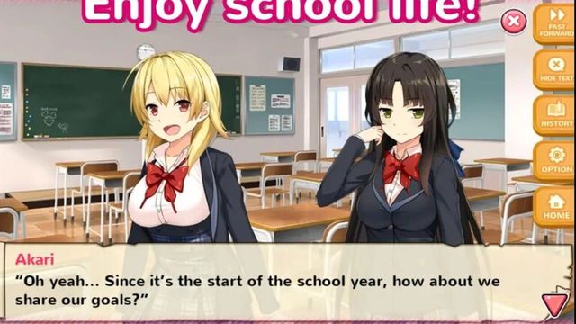 Moe! Ninja Girls 4