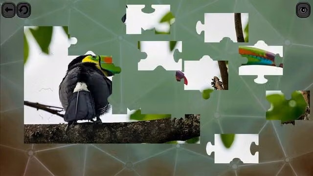 Puzzles for Smart: Birds 1