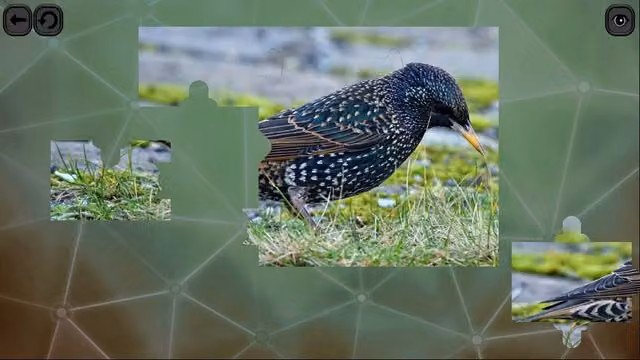 Puzzles for Smart: Birds 2