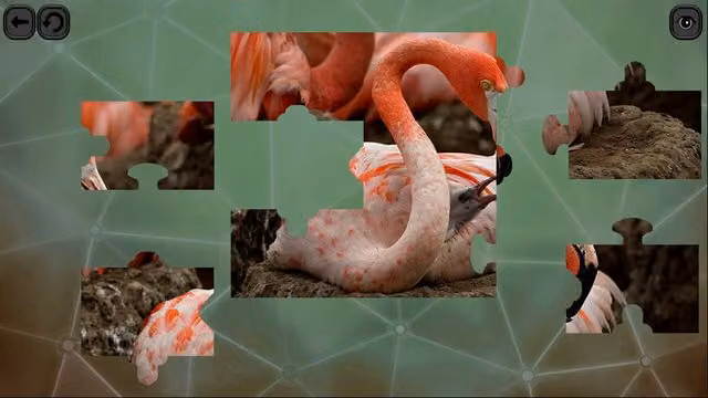 Puzzles for Smart: Birds 3