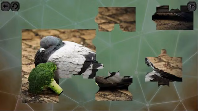 Puzzles for Smart: Birds 4