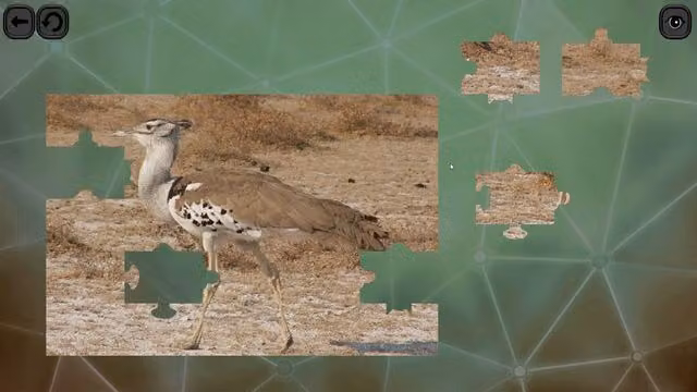 Puzzles for Smart: Birds 6