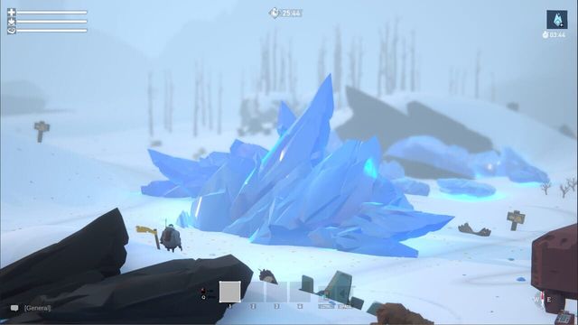Project Winter 4