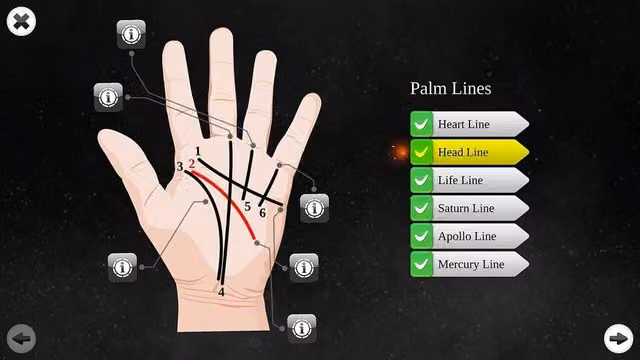 Palm Reading Premium 2