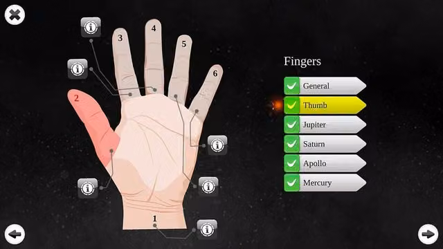 Palm Reading Premium 5
