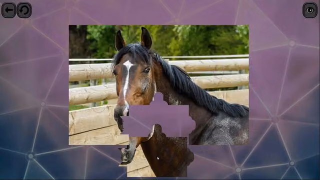 Puzzles for smart: Horses 1