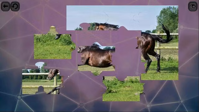Puzzles for smart: Horses 2