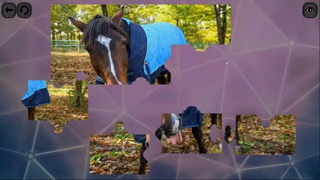 Puzzles for smart: Horses 3