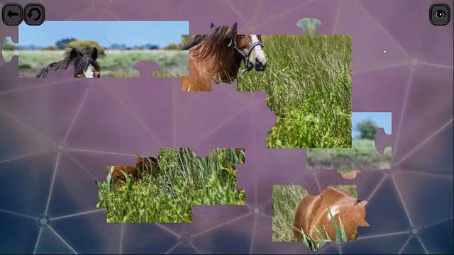 Puzzles for smart: Horses 4