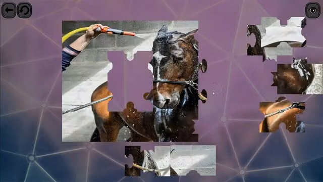 Puzzles for smart: Horses 5