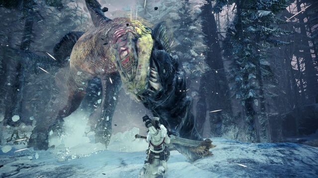 Monster Hunter: World - Iceborne 6