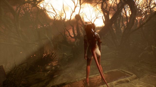 Succubus 5