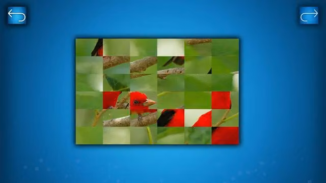 Puzzle: Birds 1