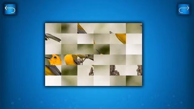 Puzzle: Birds 2