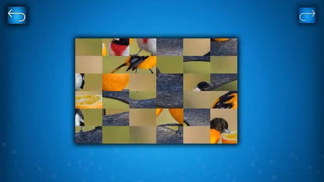 Puzzle: Birds 5