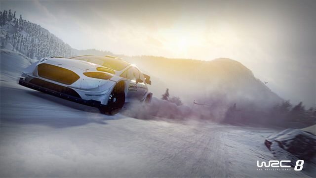 WRC 8 3