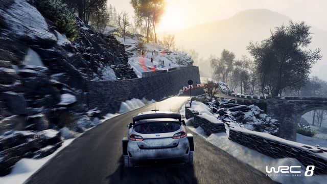 WRC 8 4