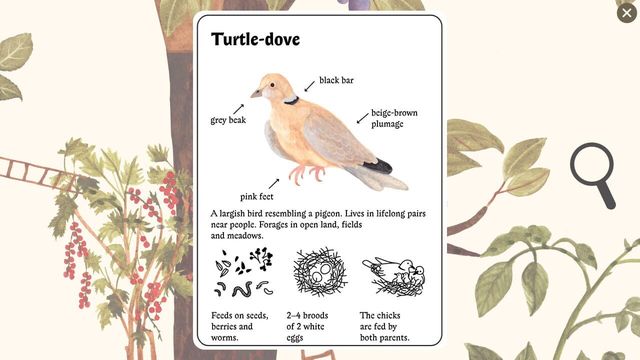 Little Mouse's Encyclopedia 2