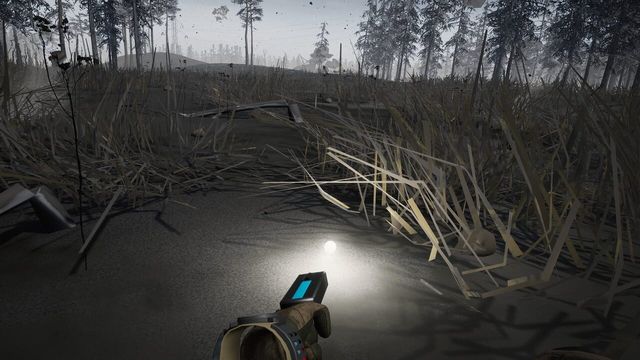 Into the Radius 6