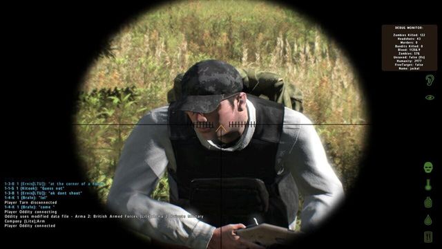 Arma II: DayZ 1