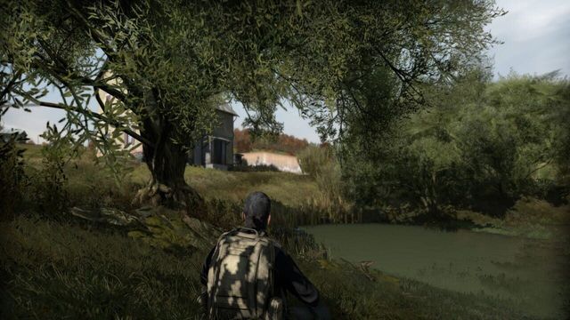 Arma II: DayZ 4