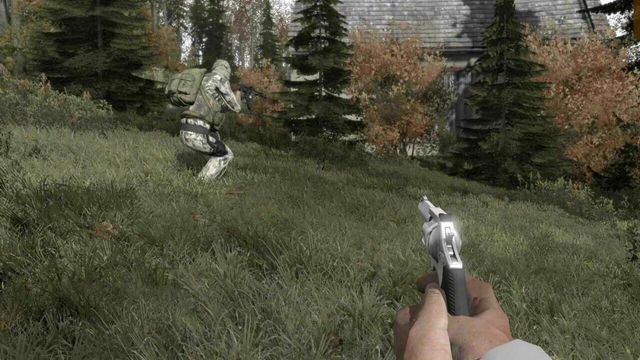 Arma II: DayZ 5