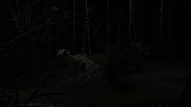 Blood Trail 4