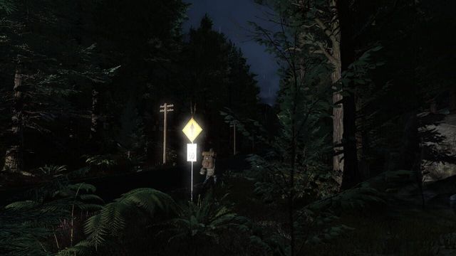 Pineview Drive: Homeless 6