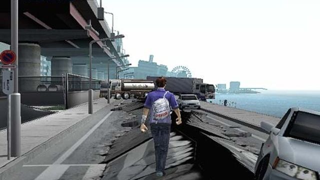 Disaster Report 2
