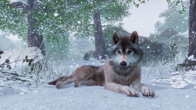 Planet Zoo 3