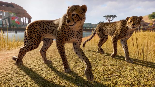 Planet Zoo 6