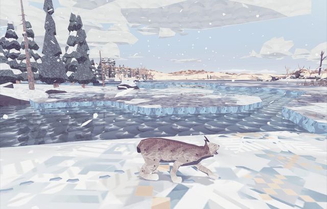 Shelter 2 6
