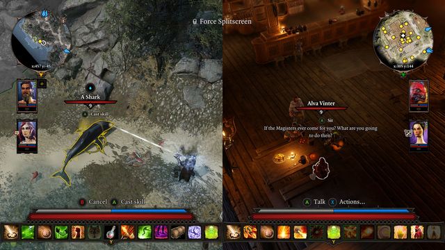 Divinity: Original Sin II 6