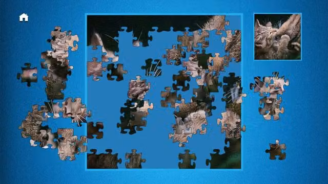 Puzzle: Ultimate 5