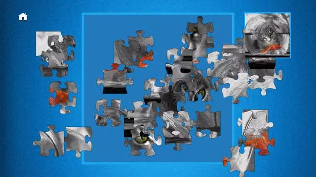 Puzzle: Ultimate 6