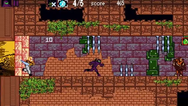 Ninja Roquinexu 6