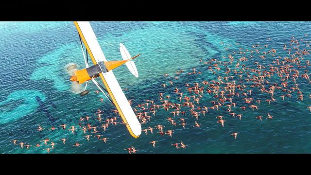 Microsoft Flight Simulator 4
