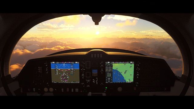 Microsoft Flight Simulator 6