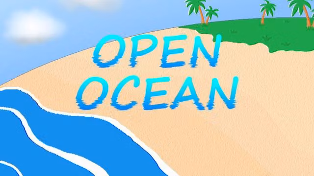 Open Ocean 1