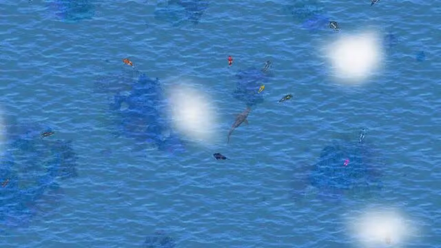 Open Ocean 2