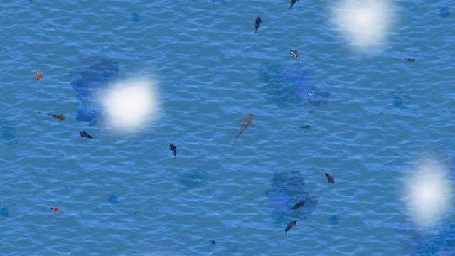Open Ocean 3