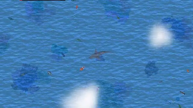 Open Ocean 4