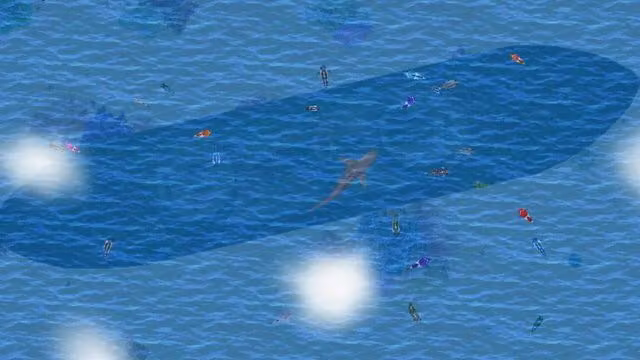 Open Ocean 5