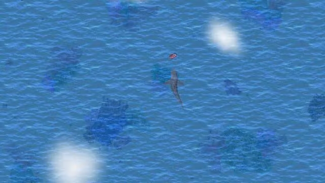 Open Ocean 6
