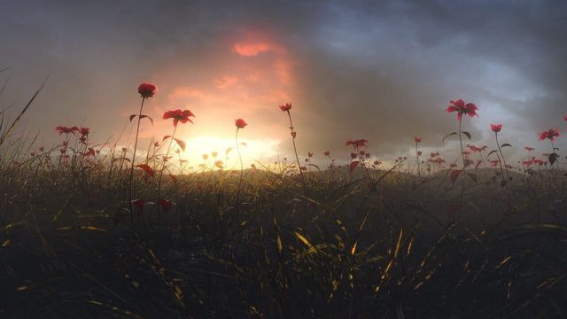 Conscious Existence - A Journey Within 4