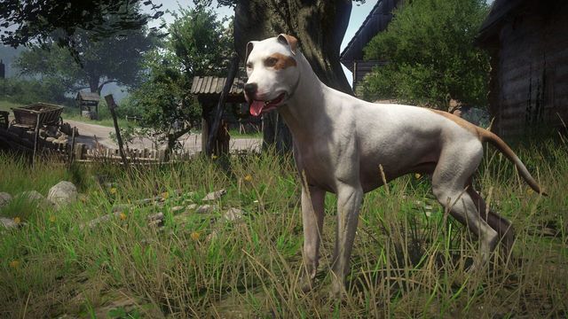 Kingdom Come: Deliverance - A Woman's Lot 4