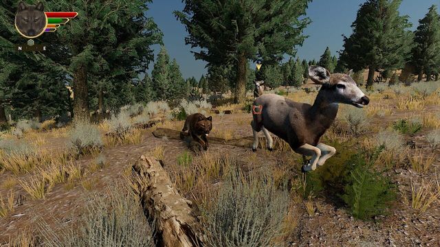 WolfQuest: Anniversary Edition 3